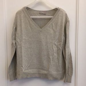 Everlane Soft Cotton V Neck Sweater